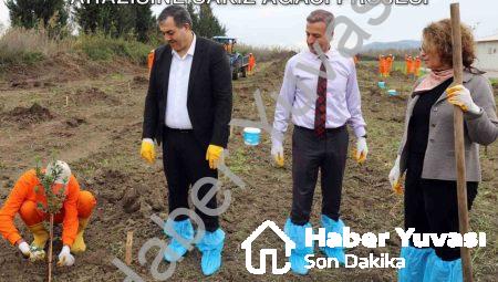 Dalaman’da Toprakla Buluşan Umut: Cezaevi Arazisine Sakız Ağacı Projesi