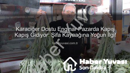 Karaciğer Dostu Enginar Pazarda Kapış Kapış Gidiyor: Şifa Kaynağına Yoğun İlgi!