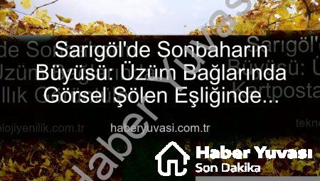 Sarıgöl’de Sonbaharın Büyüsü: Üzüm Bağlarında Görsel Şölen Eşliğinde Budama Çalışmaları Başladı