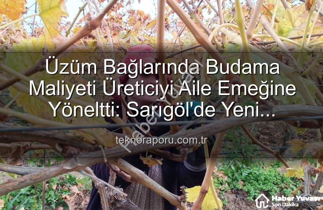 üzüm budama maliyeti - Budama Maliyeti Cep Yakıyor: Manisalı Üzüm Üreticileri Ailece Bağlara İndi
