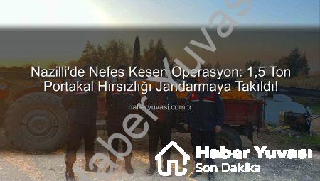 Nazilli’de Nefes Kesen Operasyon: 1,5 Ton Portakal Hırsızlığı Jandarmaya Takıldı!