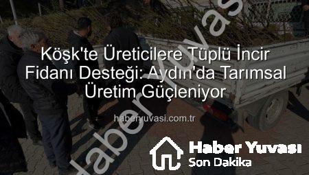 Köşk’te Üreticilere Tüplü İncir Fidanı Desteği: Aydın’da Tarımsal Üretim Güçleniyor
