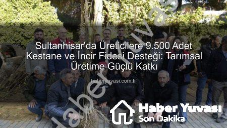 Sultanhisar’da Üreticilere 9.500 Adet Kestane ve İncir Fidesi Desteği: Tarımsal Üretime Güçlü Katkı