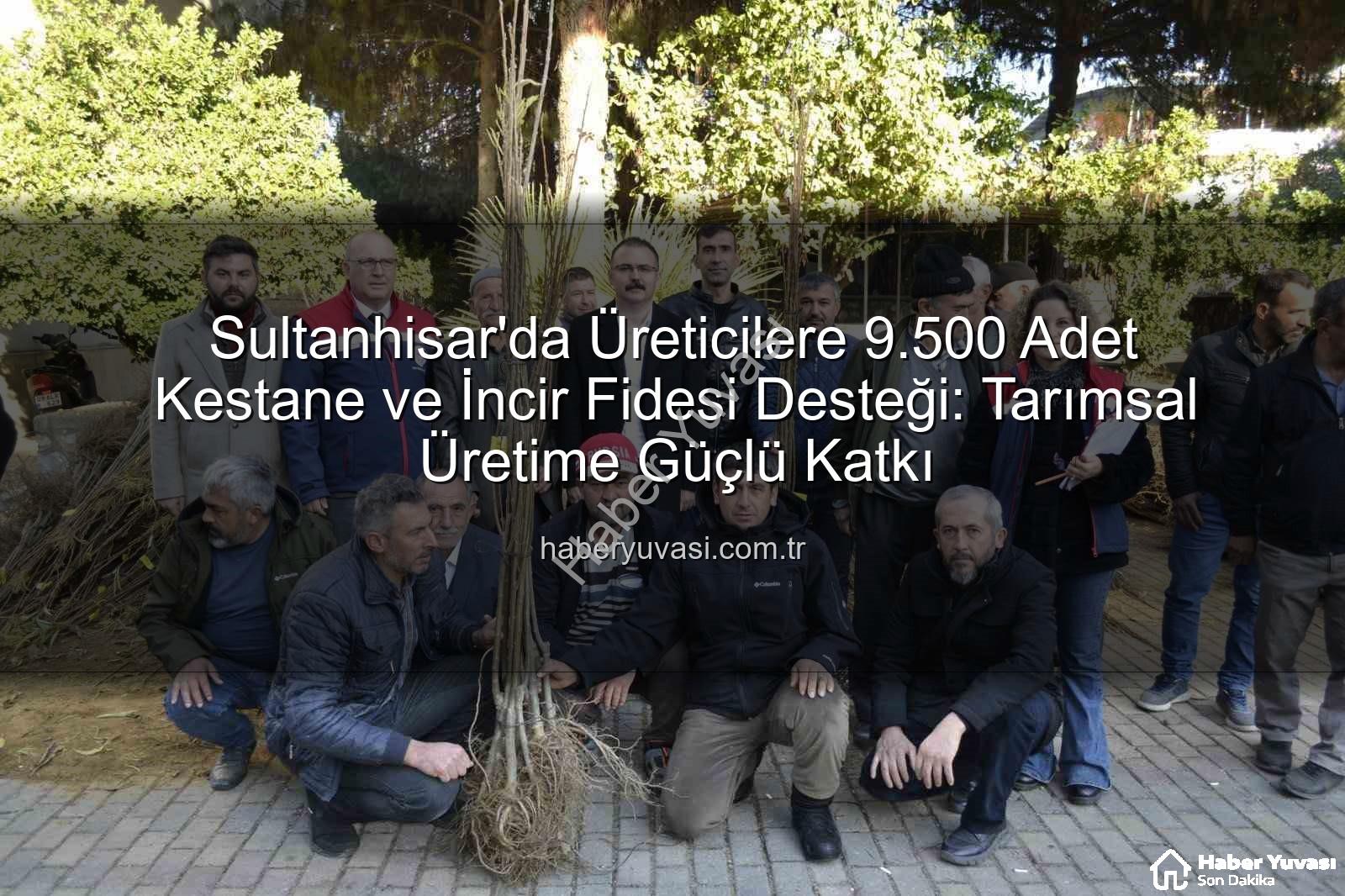 Sultanhisar fidan dağıtımı - Sultanhisar'da Üreticilere 9.500 Adet Kestane ve İncir Fidesi Desteği: Tarımsal Üretime Güçlü Katkı