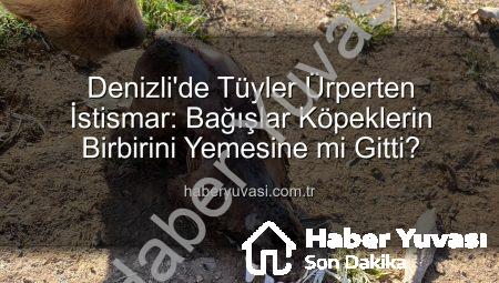 Denizli’de Tüyler Ürperten İstismar: Bağışlar Köpeklerin Birbirini Yemesine mi Gitti?