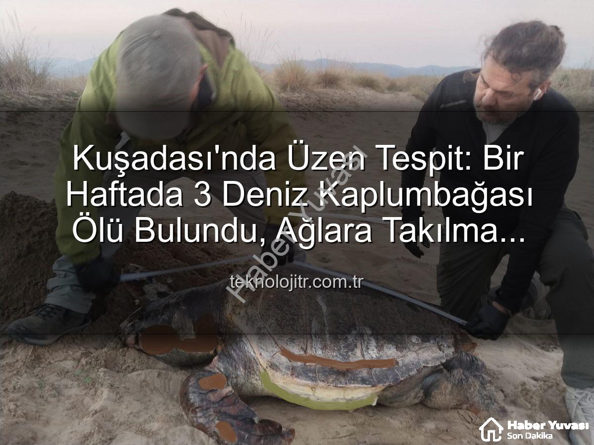 deniz kaplumbağası ölümleri - Kuşadası Sahillerinde Endişe Veren Ölümler: Bir Haftada 3 Deniz Kaplumbağası Kayboldu