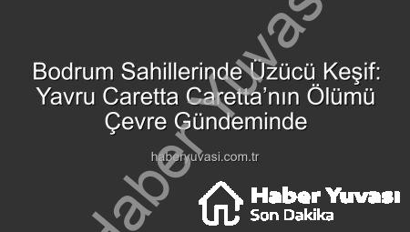 Bodrum Sahillerinde Üzücü Keşif: Yavru Caretta Caretta’nın Ölümü Çevre Gündeminde