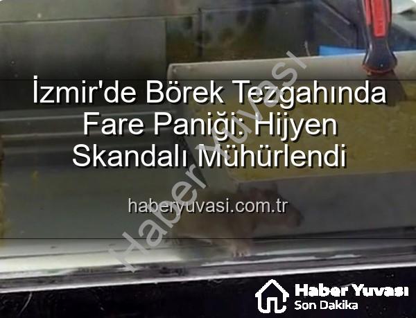 börek tezgahında fare - İzmir'de Börek Tezgahında Fare Paniği: Hijyen Skandalı Mühürlendi