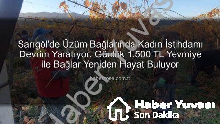 Sarıgöl’de Üzüm Bağlarında Kadın Eli Değiyor: İstihdama Yeni Bir Nefes