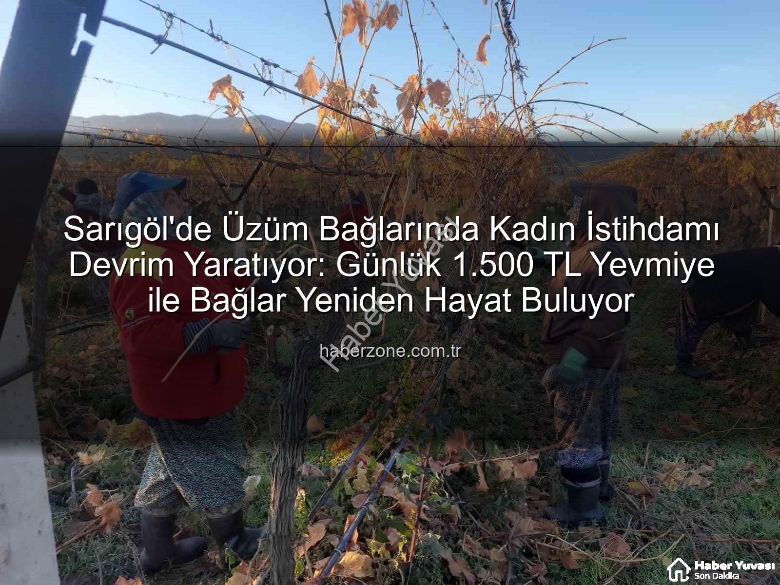 kadın istihdamı - Sarıgöl'de Üzüm Bağlarında Kadın Eli Değiyor: İstihdama Yeni Bir Nefes