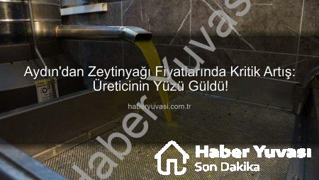Aydın’dan Zeytinyağı Fiyatlarında Kritik Artış: Üreticinin Yüzü Güldü!