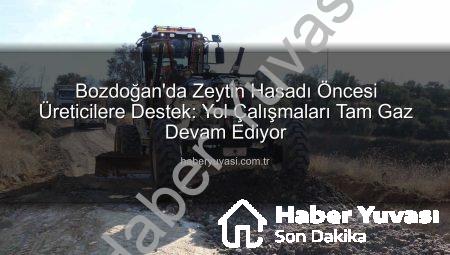 Bozdoğan’da Zeytin Hasadı Öncesi Üreticilere Destek: Yol Çalışmaları Tam Gaz Devam Ediyor