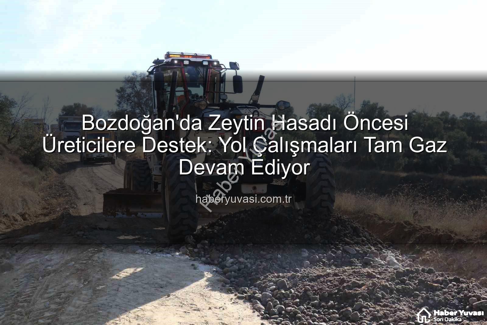 Bozdoğan yol çalışmaları - Bozdoğan'da Zeytin Hasadı Öncesi Üreticilere Destek: Yol Çalışmaları Tam Gaz Devam Ediyor