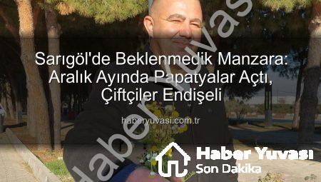 Sarıgöl’de Beklenmedik Manzara: Aralık Ayında Papatyalar Açtı, Çiftçiler Endişeli